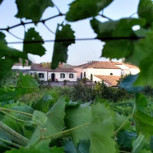 Vakantiehuis Etna, Piedimonte Etneo